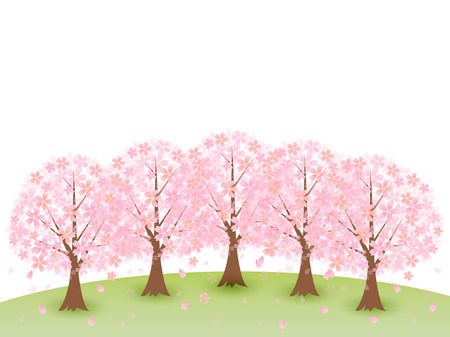 Sakura cherry tree backgroundのイラスト素材