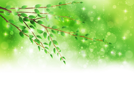 Plant leaf backgroundのイラスト素材