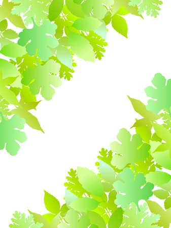 Plant leaf backgroundのイラスト素材