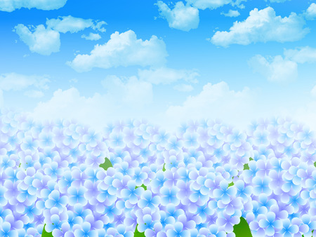 Hydrangea sky landscapeのイラスト素材