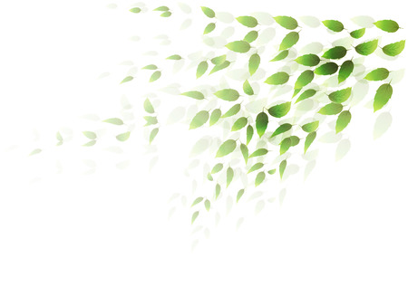 Plant leaf backgroundのイラスト素材