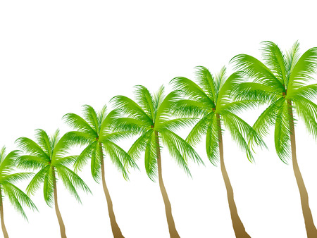  Background palm treeのイラスト素材