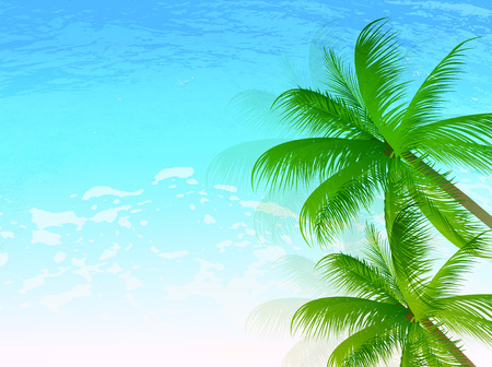 Tree landscape of sea palmのイラスト素材