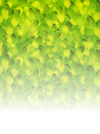 Fresh green leaf backgroundのイラスト素材