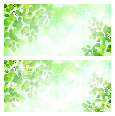 Leaf background skyのイラスト素材