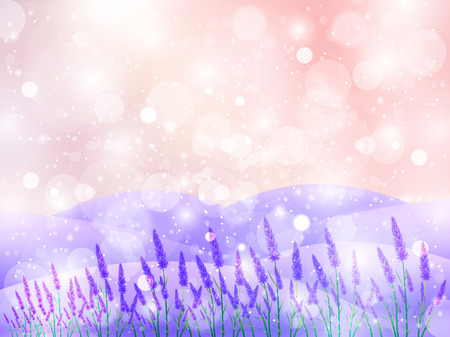 Lavender Flowers Landscapesのイラスト素材