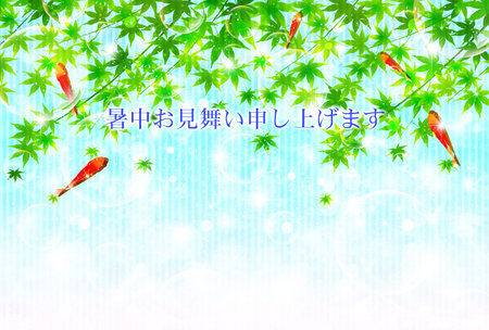 Hot weather sympathy maple goldfishのイラスト素材