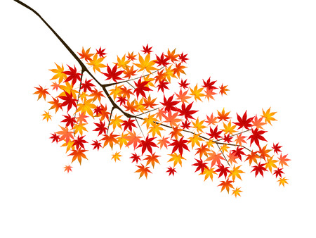 Maple autumn leaves backgroundのイラスト素材