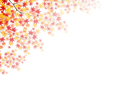 Maple foliage landscapeのイラスト素材