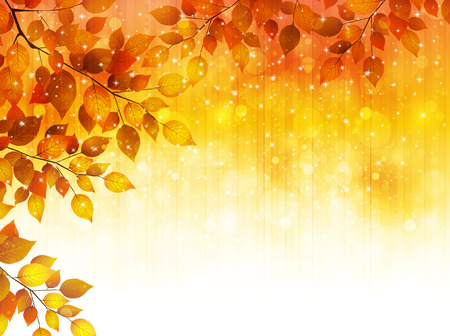 Maple foliage landscapeのイラスト素材