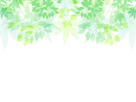 Maple leaf backgroundのイラスト素材
