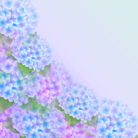 Hydrangea flower backgroundのイラスト素材