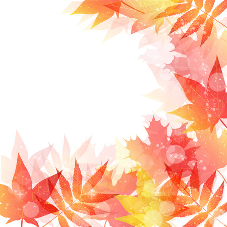  Maple autumn leaves backgroundのイラスト素材