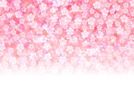 Plum greeting cards backgroundのイラスト素材