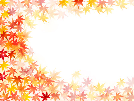 Maple autumn leaves backgroundのイラスト素材