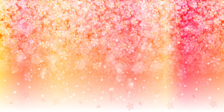 Cherry blossom backgroundのイラスト素材