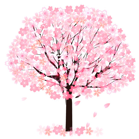 Cherry blossom treeのイラスト素材