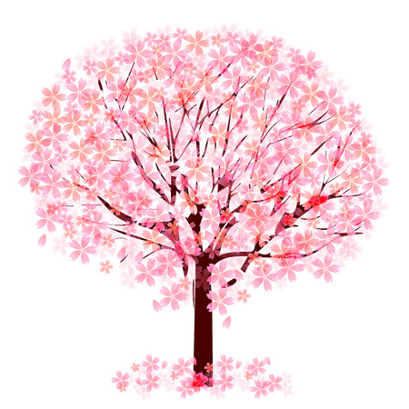 Cherry blossom treeのイラスト素材