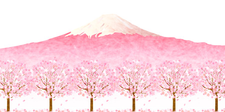 Fuji cherry backgroundのイラスト素材