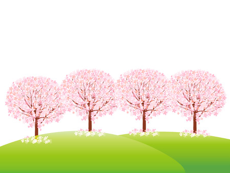 Cherry blossom backgroundのイラスト素材