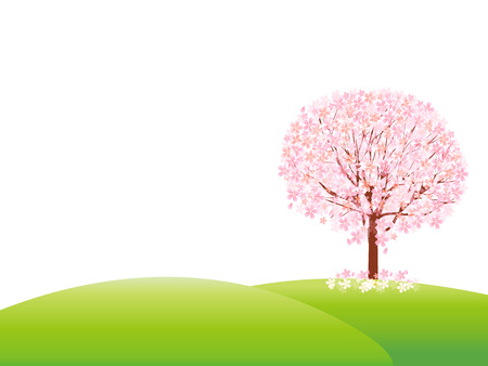 Cherry blossom backgroundのイラスト素材