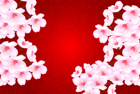 Cherry blossom backgroundのイラスト素材