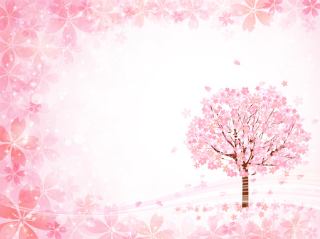 Cherry blossom backgroundのイラスト素材