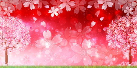 Cherry blossom backgroundのイラスト素材