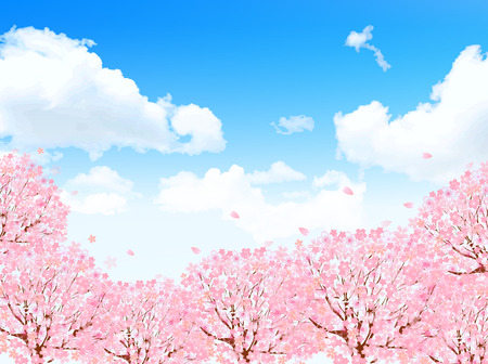 Cherry blossom backgroundのイラスト素材