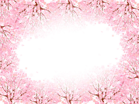 Cherry blossom backgroundのイラスト素材