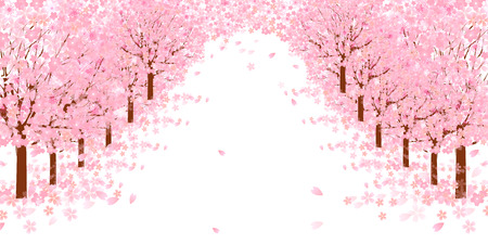 Cherry blossom backgroundのイラスト素材