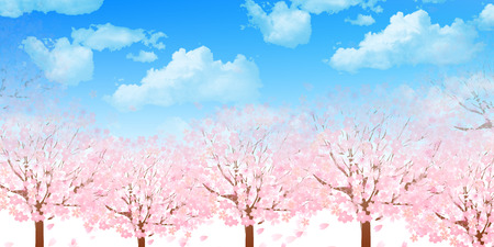 Cherry blossom backgroundのイラスト素材