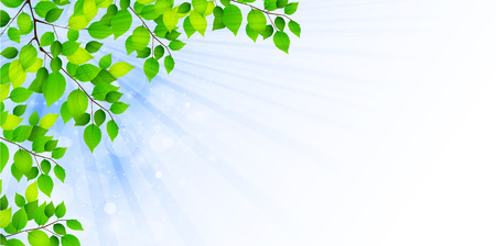 Leaf fresh green backgroundのイラスト素材