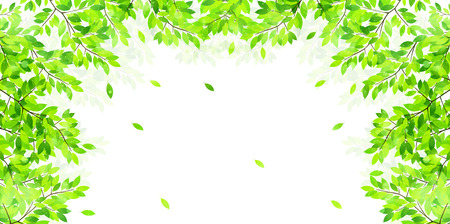 Leaf fresh green backgroundのイラスト素材