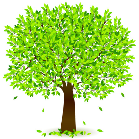 Leaf fresh green backgroundのイラスト素材