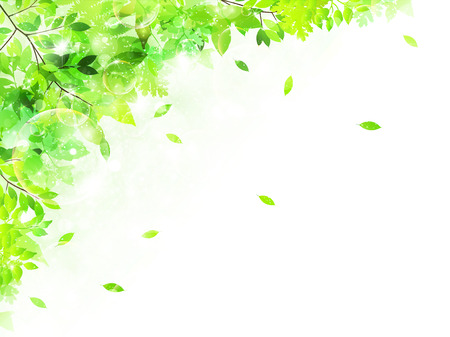 Leaf fresh green backgroundのイラスト素材