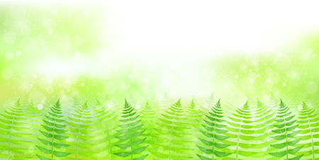 Fern leaf plantのイラスト素材