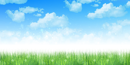 Grass sky backgroundのイラスト素材