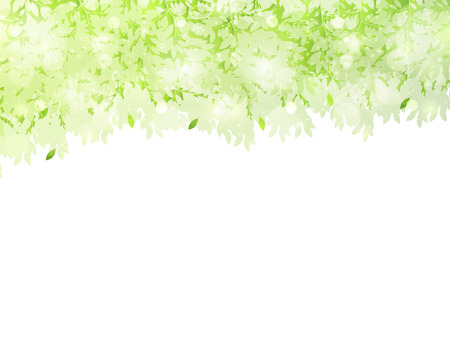 Leaf fresh green backgroundのイラスト素材