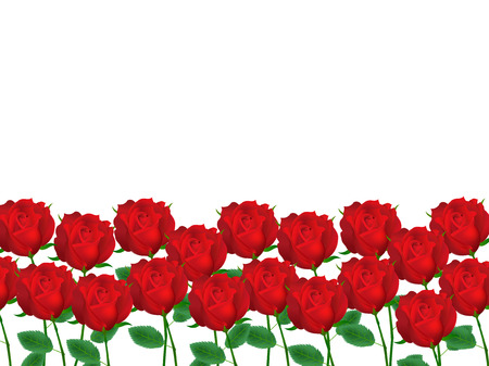 Rose flower backgroundのイラスト素材