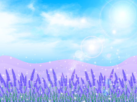 Lavender herb backgroundのイラスト素材