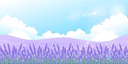 Lavender herb backgroundのイラスト素材
