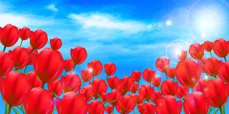 Tulip flower backgroundのイラスト素材