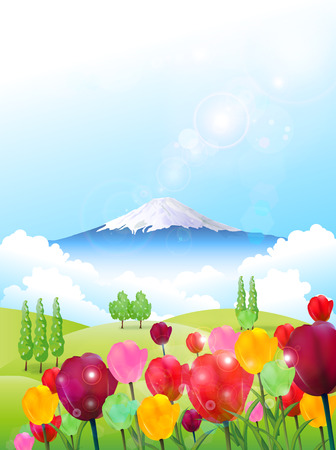 Fuji tulip backgroundのイラスト素材