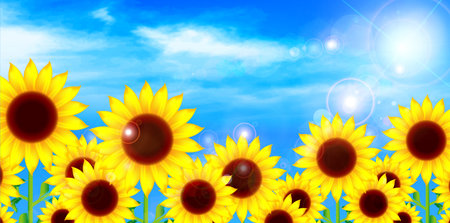 Sunflower flower backgroundのイラスト素材