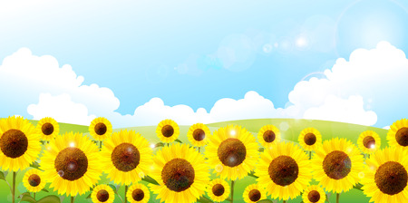 Sunflower sky backgroundのイラスト素材