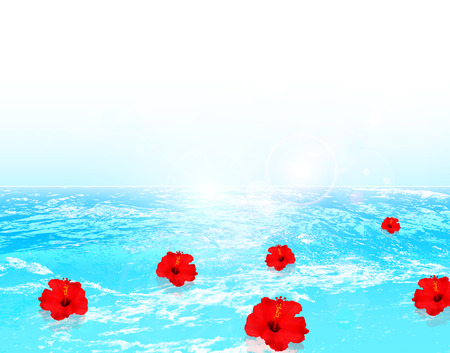 Hibiscus sea backgroundのイラスト素材