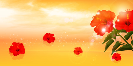 Hibiscus sunset seaのイラスト素材