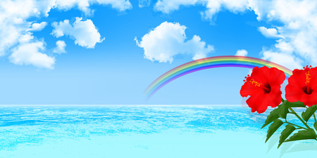 Hibiscus sea backgroundのイラスト素材
