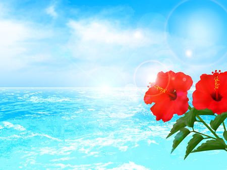 Hibiscus sea backgroundのイラスト素材